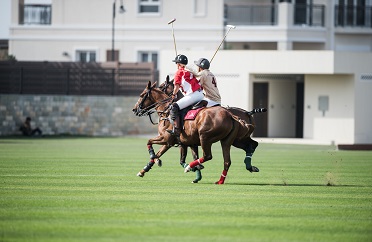 Polo academy