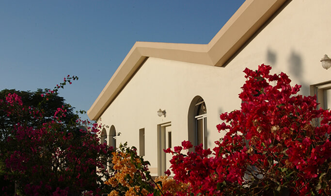 Al Wasl Village  - Vicinity